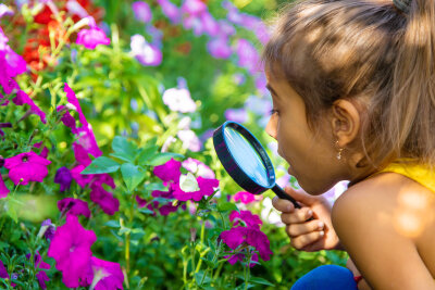 Insekten unter die Lupe nehmen: Ein Ferienerlebnis im Botanischen Garten Chemnitz - Beim NABU-Insektensommer im Botanischen Garten haben Naturfreunde jeden Alters die Möglichkeit, am Samstag, den 27. Juli, von 14 bis 18 Uhr, das bunte Treiben der Insektenwelt zu beobachten.