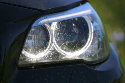 Insektenreste auf dem Auto: So bleibt Ihr Lack intakt - Öfter mal putzen: Auch auf den Scheinwerfern sind die Reste von Insekten zu finden.