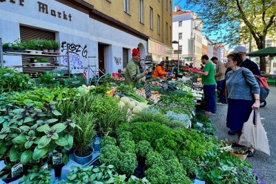 Jenseits von Prater und Hofburg: Das Wien der Einheimischen - Auf dem Meidlinger Markt im 12. Wiener Gemeindebezirk, eine halbe Stunde Fußmarsch von Schloss Schönbrunn entfernt, konzentriert sich der Gast am besten auf das, was Wiener lieben: Essen.