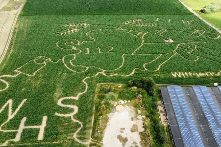 Jubiläums-Maislabyrinth in Chemnitz: 150 Jahre Freiwillige Feuerwehr Wittgensdorf - Das Maislabyrinth im Chemnitzer Ortsteil Wittgensdorf wurde dieses Jahr zusammen mit der Freiwilligen Feuerwehr Wittgensdorf gestaltet. 