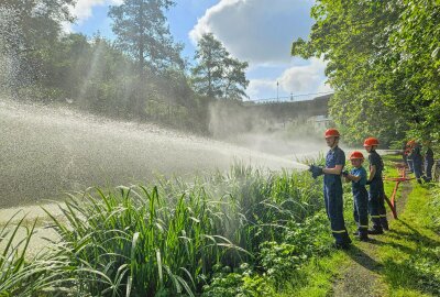 Junge Kameraden im Erzgebirge retten zahlreichen Fischen das Leben - Am Samstag musste die Jugendfeuerwehr in Annaberg-Buchholz am Waldschlösschenpark wegen ausgefallener Pumpentechnik ausrücken. Foto: Feuerwehr