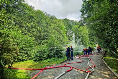 Junge Kameraden im Erzgebirge retten zahlreichen Fischen das Leben - Am Samstag musste die Jugendfeuerwehr in Annaberg-Buchholz am Waldschlösschenpark wegen ausgefallener Pumpentechnik ausrücken. Foto: Feuerwehr