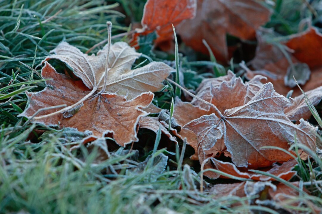 Kaltes und nasses Herbstwetter in Sachsen erwartet - Das Wetter im Freistaat wird herbstlich kühl, nass und trüb. (Archivbild)