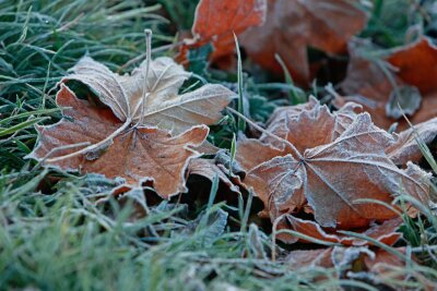 Kaltes und nasses Herbstwetter in Sachsen erwartet - Das Wetter im Freistaat wird herbstlich kühl, nass und trüb. (Archivbild)