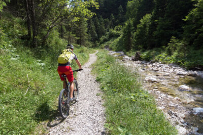 Bei der Treibjagd im Dunkelwald handelt es sich um ein Etappenrennen.