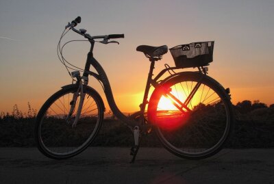 KI zählt Radler auf Mulderadwanderweg in Zwickau - Radler auf dem Mulderadwanderweg werden ab Juni gezählt. Bild. Annamartha/pixelio.de 