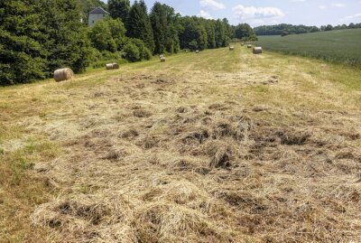 Kinder zünden Strohballen an: Feuerwehr zu mehreren Einsätzen am Wochenende gerufen - Die Feuerwehr muss am Wochenende immer wieder aufgrund von Brandstiftung ausrücken. Foto: Bernd März.