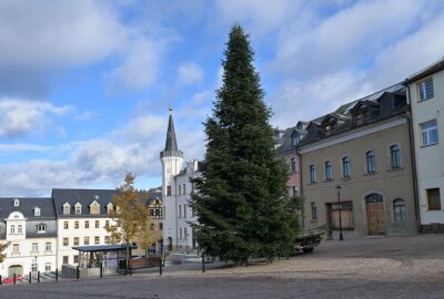 Kirchberger Weihnachtsbaum steht - Der Kirchberger Weihnachtsbaum ist aufgestellt.