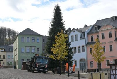 Kirchberger Weihnachtsbaum steht - Der Kirchberger Weihnachtsbaum ist aufgestellt.