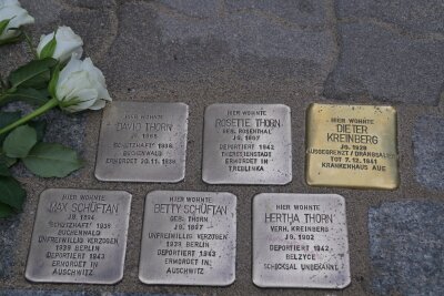 Die fünf Steine wurden bereits 2013 gesetzt. Foto: Ramona Schwabe