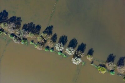 Klimakrise spitzt sich zu - Welche Rolle spielt Deutschland? - Vom Hochwasser des Flusses Oder im September waren auch Wiesen vor der Stadt Frankfurt (Oder) überflutet. (Archivbild)