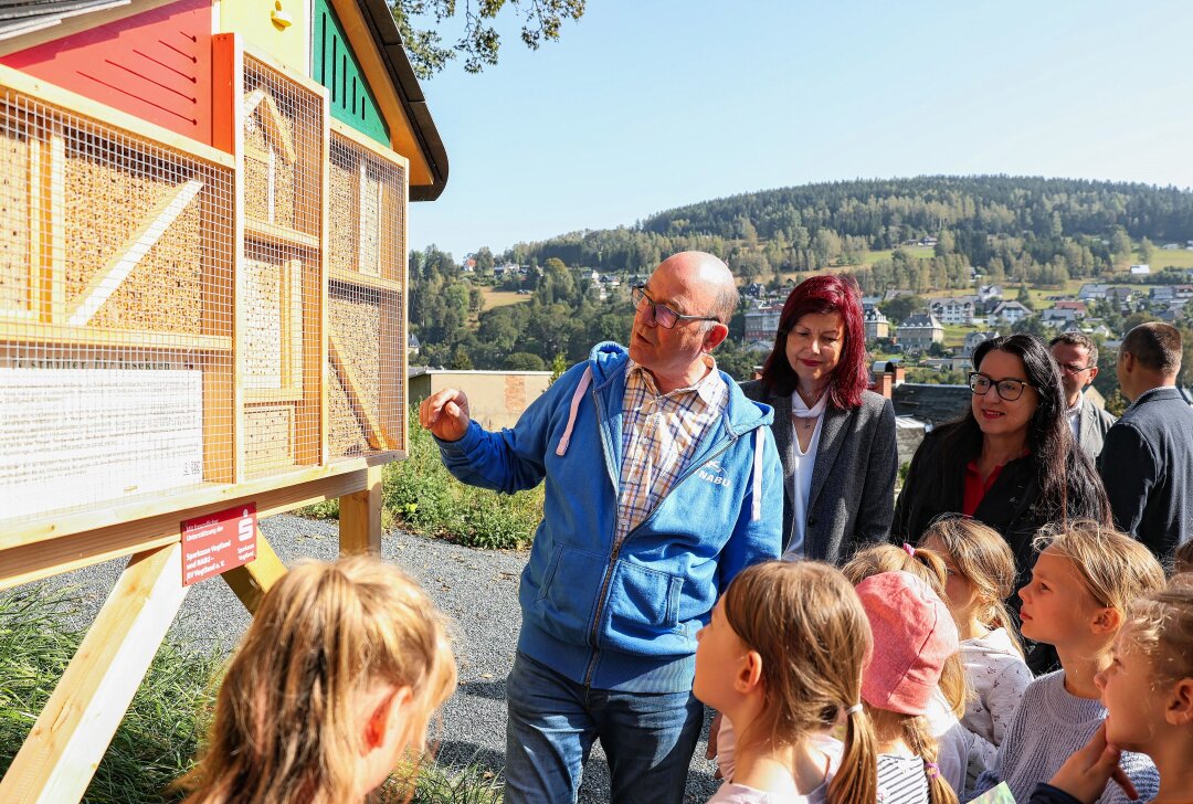 Klingenthal: Frisch sanierter Parkplatz bietet auch Lebensraum für Honigbienen - Berthold Löckelt, Vorsitzender vom NABU-Regionalverband Vogtland und Initiator des Insektenhotels, erklärt den Schülern der Klasse 2a der Sigmund-Jähn-Grundschule, wer künftig in das Insektenhotel einziehen wird. Foto: Johannes Schmidt