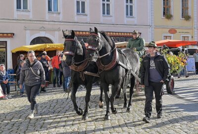 Knapp 40 Händler und eine besondere Premiere beim Öko- und Streuobstmarkt in Schneeberg - Zum Öko- und Streuobstmarkt hat es auch wieder das Wappenfest gegeben mit Wildbret-Übergabe. Foto: Ramona Schwabe