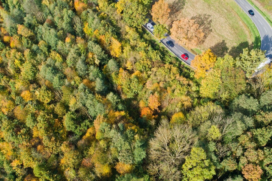 Kollision bei Kolonnen-Überholmanöver: Wer haftet? - Auf der Landstraße sind Überholvorgänge speziell bei kurviger Streckenführung riskant.