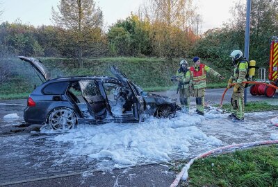 Kombi geht in Flammen auf: Familie rettet sich selbst - Während der Fahrt war ein tschechischer BMW 530d in Flammen aufgegangen. Der Fahrer konnte den Kombi noch am Straßenrand abstellen. Foto: Roland Halkasch