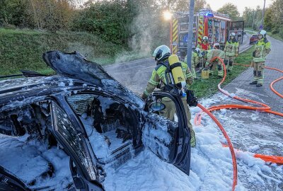 Kombi geht in Flammen auf: Familie rettet sich selbst - Der Fahrer, seine Beifahrerin und ein Kleinkind konnten den brennenden BMW unverletzt verlassen. Foto: Roland Halkasch