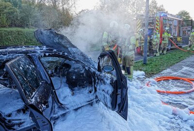 Kombi geht in Flammen auf: Familie rettet sich selbst - Als die Berufsfeuerwehr (Wachen Löbtau und Striesen) und die Stadtteilfeuerwehr Kaitz eintrafen, stand das Auto lichterloh in Flammen. Foto: Roland Halkasch