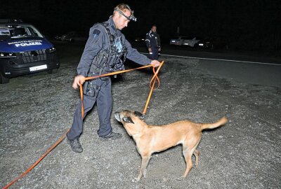 Komplizierte Rettungsaktion in Chemnitz: Pilzsammler verunglückt schwer - Polizeihunde, Feuerwehr und Retter waren im Einsatz. Ein umgestürzter Baum erschwerte die Rettungsarbeiten. Foto: Jan Härtel