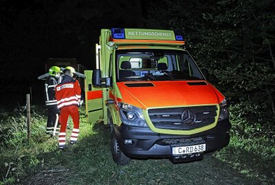 Komplizierte Rettungsaktion in Chemnitz: Pilzsammler verunglückt schwer - . Schnelles Handeln war im Waldgebiet entscheidend. Foto: Jan Härtel