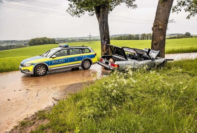 Kontrolle verloren: Oldtimer kollidiert mit Baum - Von Fahrbahn abgekommen und gegen Baum gekracht. Foto: Igor Pastierovic