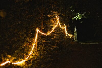 Kunst, Musik und Gemeinschaft: Das WildArt Festival kehrt zurück - Das WildArt Festival feiert in Goßberg wieder das Leben, den Sommer und die Vielfalt der Kunst. Foto: WildArt