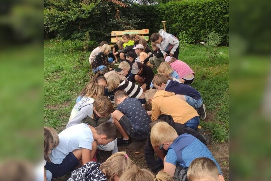 Kunstprojekt von Hort und Grundschule in Köthensdorf nach kurzer Zeit zerstört - Im kleinen Ortsteil Köthensdorf entstand kürzlich ein Projekt, an dem die Kinder des Köthensdorfer Horts und der Grundschule mit großem Eifer beteiligt waren.