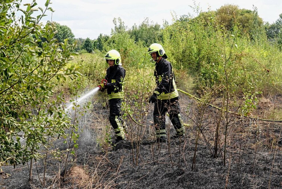 Kupferdiebe lösen Flächenbrand in Chemnitz aus - Kupferdiebe haben am Mittwoch in Chemnitz einen Flächenbrand ausgelöst. Foto: Harry Härtel