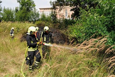 Kupferdiebe lösen Flächenbrand in Chemnitz aus - Kupferdiebe haben am Mittwoch in Chemnitz einen Flächenbrand ausgelöst. Foto: Harry Härtel