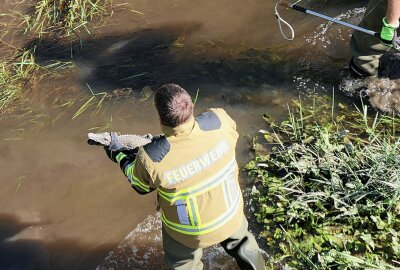 Kurioser Feuerwehreinsatz: Passanten entdecken Krokodil in Mulde - Die Feuerwehr kann kurz darauf Entwarnung geben: Es handelt sich um eine Attrappe. Foto: Sören Müller