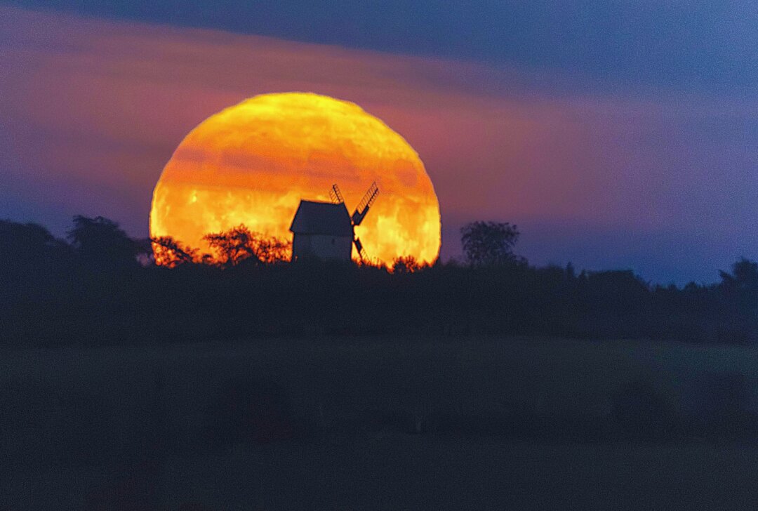 Lampertswalde erstrahlt im Erntemond-Licht: Vollmond in seiner vollen Pracht - Der August-Vollmond, bekannt als Erntemond, strahlt in seiner vollen Pracht über Lampertswalde und verwandelt die Landschaft in eine goldene Kulisse. Foto: EHLMedia/Tim Meyer