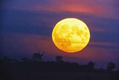 Lampertswalde erstrahlt im Erntemond-Licht: Vollmond in seiner vollen Pracht - Der August-Vollmond, bekannt als Erntemond, strahlt in seiner vollen Pracht über Lampertswalde und verwandelt die Landschaft in eine goldene Kulisse. Foto: EHLMedia/Tim Meyer