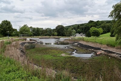 Landesgartenschau in Aue: Kurpark soll zentrales Element werden - Umfangreiche Sanierungen von Anlagenteilen im Kurpark von Bad Schlema sind geplant, dazu gehören auch Brücken, wie die an den unteren Teichen des Kurparkes. Foto: Ramona Schwabe