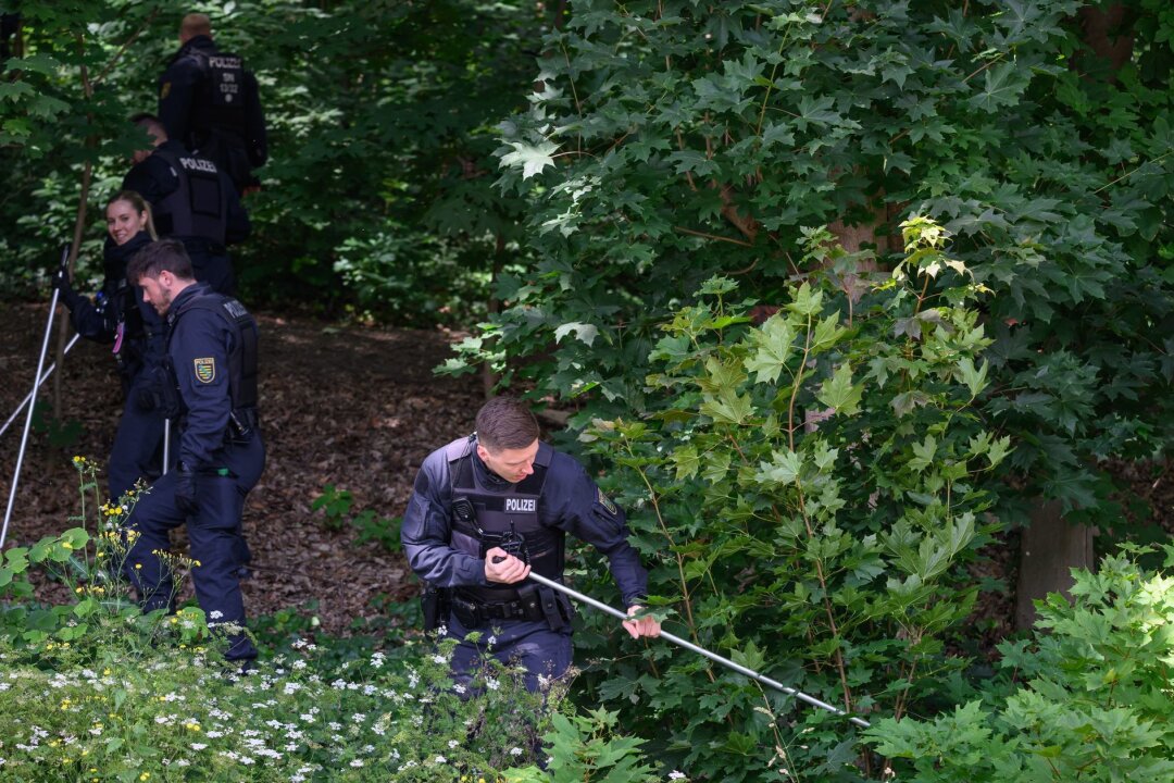 Leblose Person bei Flächensuche in Döbeln gefunden - Polizisten suchen mit Suchstangen in einem Waldstück bei Döbeln nach der vermissten Grundschülerin.