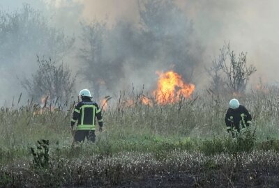 Leipzig: Hundert Quadratmeter großes Feld in Brand - Die Polizei ermittelt. Foto: xcitepress