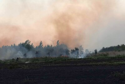 Leipzig: Hundert Quadratmeter großes Feld in Brand - Die Polizei ermittelt. Foto: xcitepress