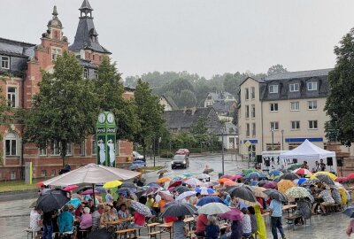 Live-Entertainment im Erzgebirge: "Happy Feeling" sorgt für beste Stimmung - Beim Oelsnitzer Kultursommer hat gestern die Band "Happy Feeling" gespielt. Foto: Ramona Schwabe