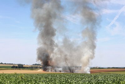 Mähdrescher geht bei Ernte in Mittelsachsen in Flammen auf: Feuer greift auf Feld über - Am Mittwochmittag ist im Waldheimer Ortsteil Knobelsdorf ein Mähdrescher sowie ein Feld in Brand geraten. Foto: EHL Media/Tim Meyer