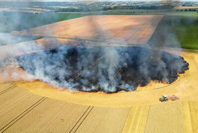 Mähdrescher geht bei Ernte in Mittelsachsen in Flammen auf: Feuer greift auf Feld über - Am Mittwochmittag ist im Waldheimer Ortsteil Knobelsdorf ein Mähdrescher sowie ein Feld in Brand geraten. Foto: EHL Media/Tim Meyer