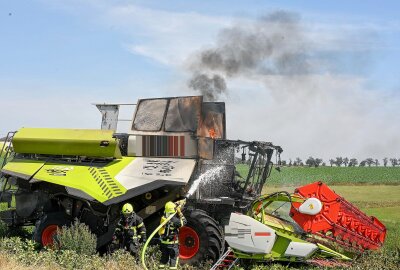 Mähdrescher geht bei Ernte in Mittelsachsen in Flammen auf: Feuer greift auf Feld über - Am Mittwochmittag ist im Waldheimer Ortsteil Knobelsdorf ein Mähdrescher sowie ein Feld in Brand geraten. Foto: EHL Media/Tim Meyer