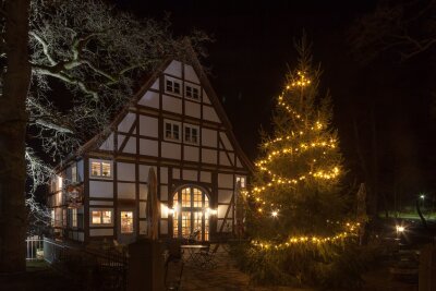 Mal anders: 16 ungewöhnliche Weihnachtsmärkte in Deutschland - Auch wenn keine Tiere im Bild sind: Im Tierpark Sababurg wird Adventsmarkt gefeiert.