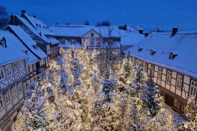 Mal anders: 16 ungewöhnliche Weihnachtsmärkte in Deutschland - Nadelbäume auf dem Schuhhof: In Goslar wird zum Advent ein Weihnachtswald geschaffen, in dem sich auch die Buden verstecken.