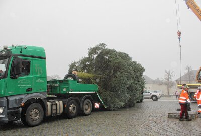 Marienberg startet in die Adventszeit: Gespendeter Christbaum und Eisarena als Highlights des Weihnachtsmarktes - Bei Nieselregen und Nebel wurde der Christbaum für den Marienberger Weihnachtsmarkt angeliefert. Foto: Jana Kretzschmann