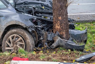 Mehrere schwer verletzte Personen nach Unfall auf sächsischer Staatsstraße: PKW kollidiert mit Baum - Schwerer Unfall mit mehreren Verletzten in Großhennersdorf. Foto: xcitepress