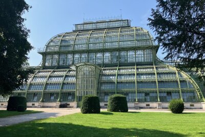 Meine 10 Reisetipps für Wien - Schloss Schönbrunn ist mit seinen wunderschönen Parkanlagen ein absolutes Highlight. Im Bild: das Palmenhaus Foto: privat