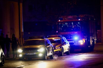 Die Einsatzkräfte konnten schnell Entwarnung geben. Foto: Niko Mutschmann