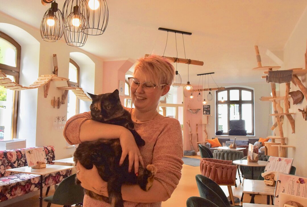 Mit Samtpfoten Kuchen essen: Chemnitzer Katzencafé braucht mehr Gäste - Die 34-jährige Inhaberin hat ihr Café-Konzept erweitert, in der Hoffnung künftig mehr Gäste zu empfangen. Foto: Steffi Hofmann