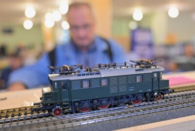 Modellbahnbörse Zwickau: Treffpunkt für Sammler und Eisenbahnfans - Bei der Modellbahnbörse in Zwickau gab es für Liebhaber und Sammler einiges zu entdecken. Foto: Ralf Wendland