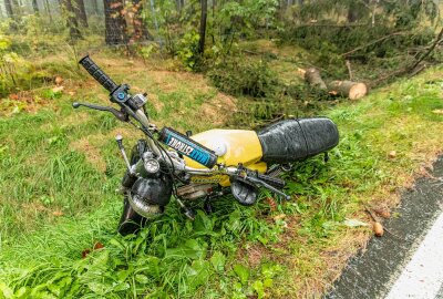 Moped gegen herabgestürzten Baum gefahren und Autos eingeschlossen: Verletzte in Grünhain-Beierfeld - Ein Mopedfahrer war in Richtung Grünhain unterwegs, als vor ihm ein Baum auf die Straße stürzte. Der Mopedfahrer konnte nicht mehr ausweichen und kollidierte mit dem Baum. Foto: André März