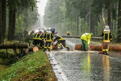 Moped gegen herabgestürzten Baum gefahren und Autos eingeschlossen: Verletzte in Grünhain-Beierfeld - Auf der S270 zwischen Zwönitz und Grünhain stürzten mehrere Bäume um. Foto: André März