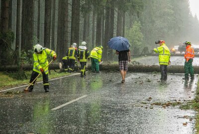 Moped gegen herabgestürzten Baum gefahren und Autos eingeschlossen: Verletzte in Grünhain-Beierfeld - Autofahrer wurden zwischen den umgestürzten Bäumen eingeschlossen.  Foto: André März